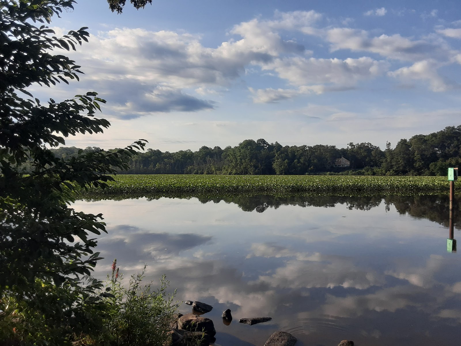 Martinak State Park, Campground, Loop A