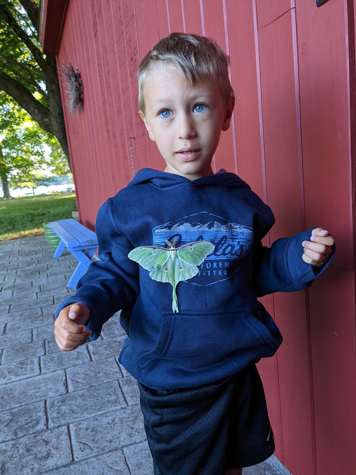 Amos Lake Campground