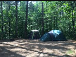 Musky Lake - Northern Highland-American Legion SF