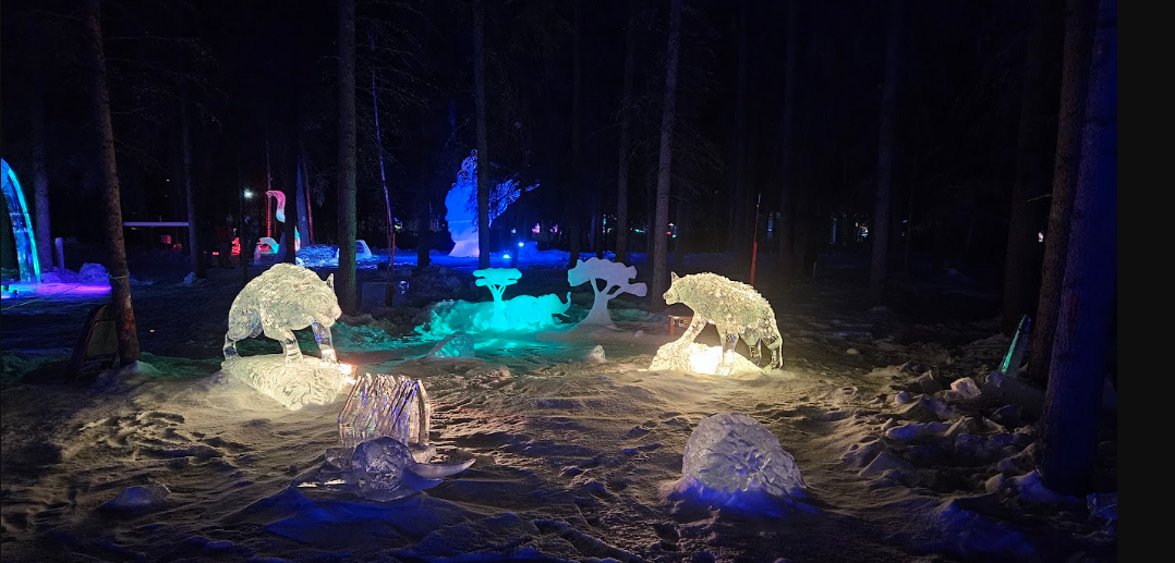 Tanana Valley Campground