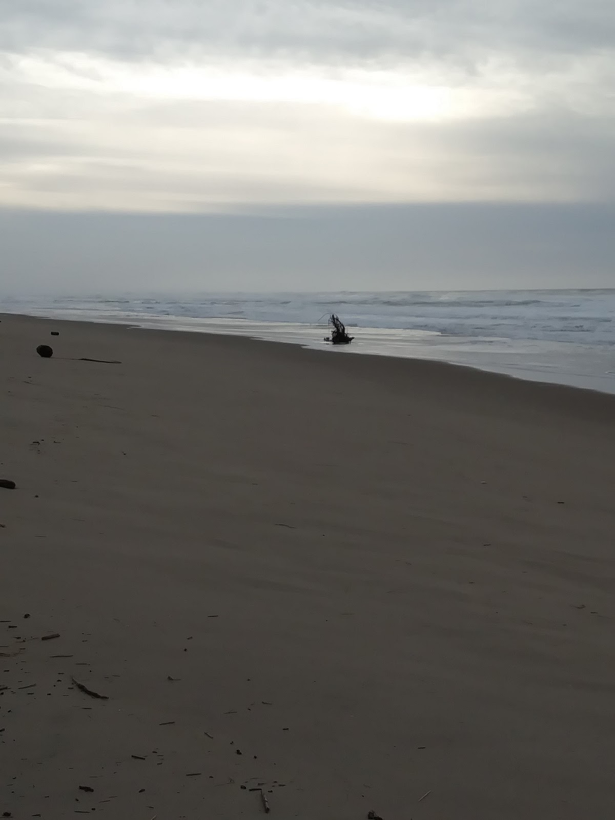 Salmon Harbor RV Park