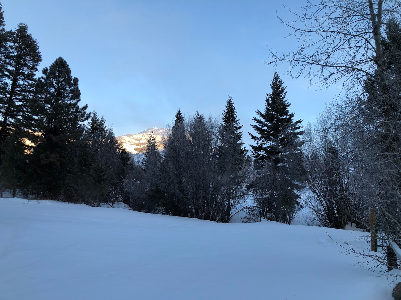 Malad Summit Campground