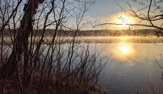 Grousehaven - Rifle River Rec Area