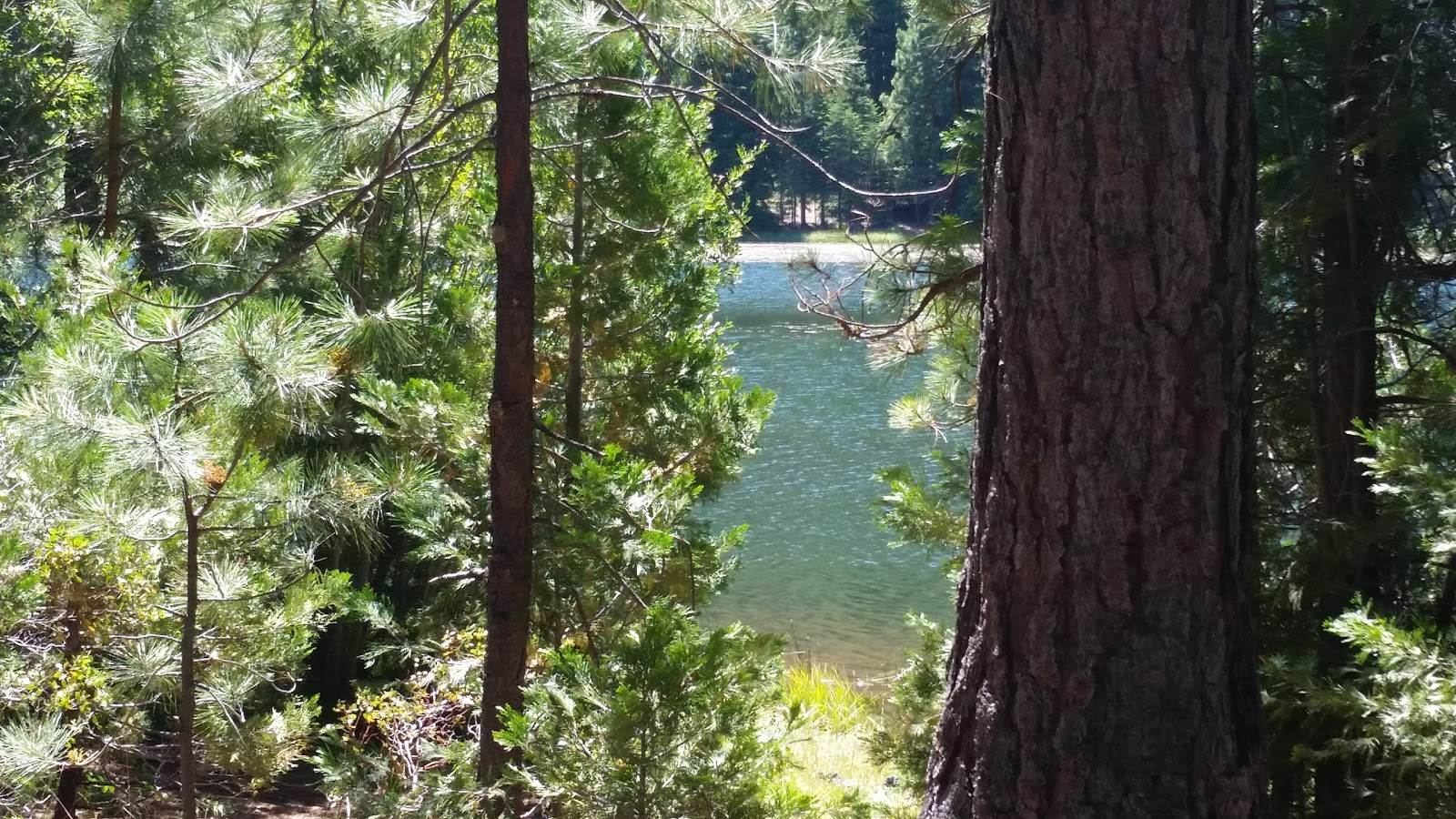 Juanita Lake Group Campsite