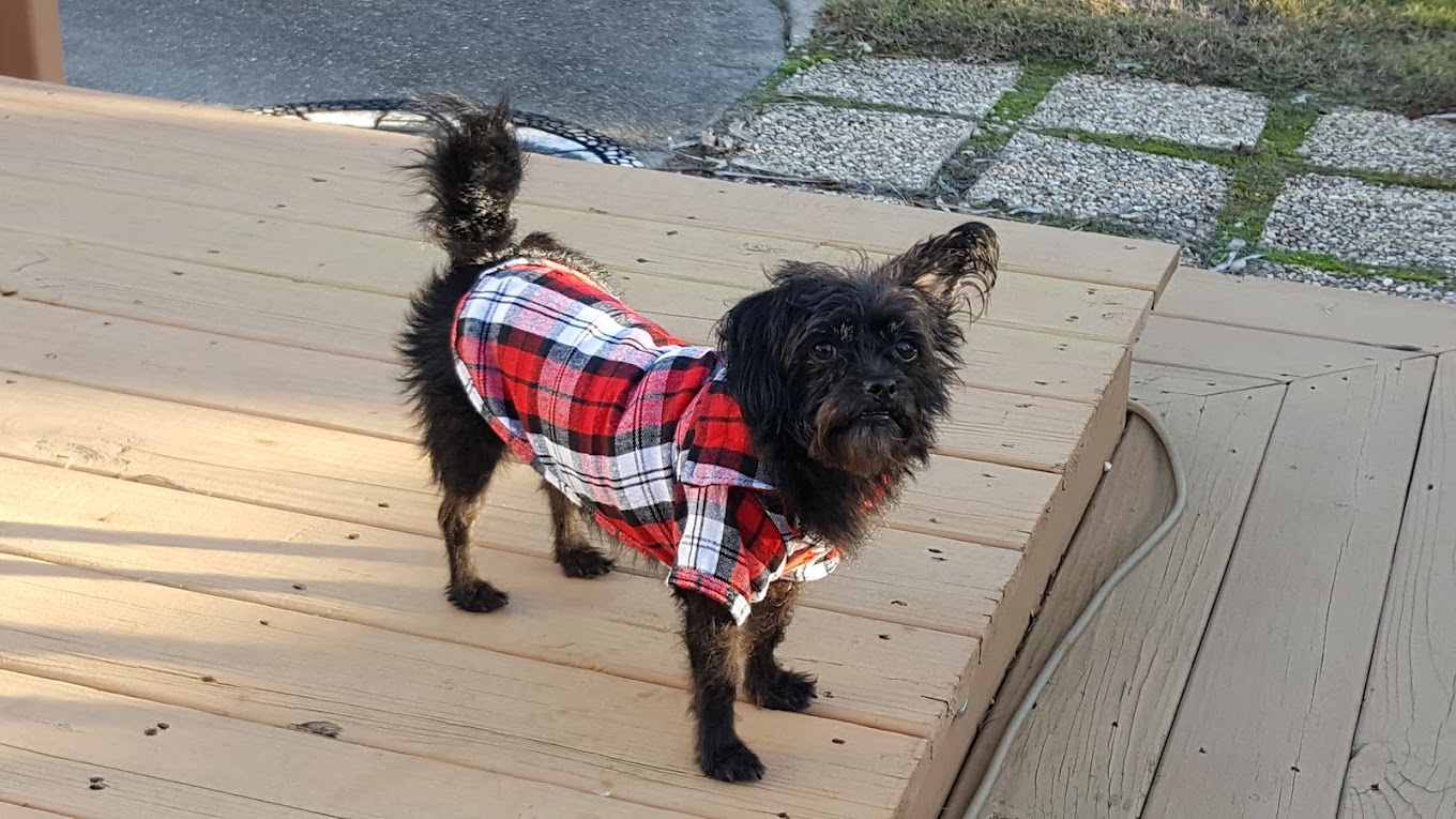 Plantation Harbor RV Resort