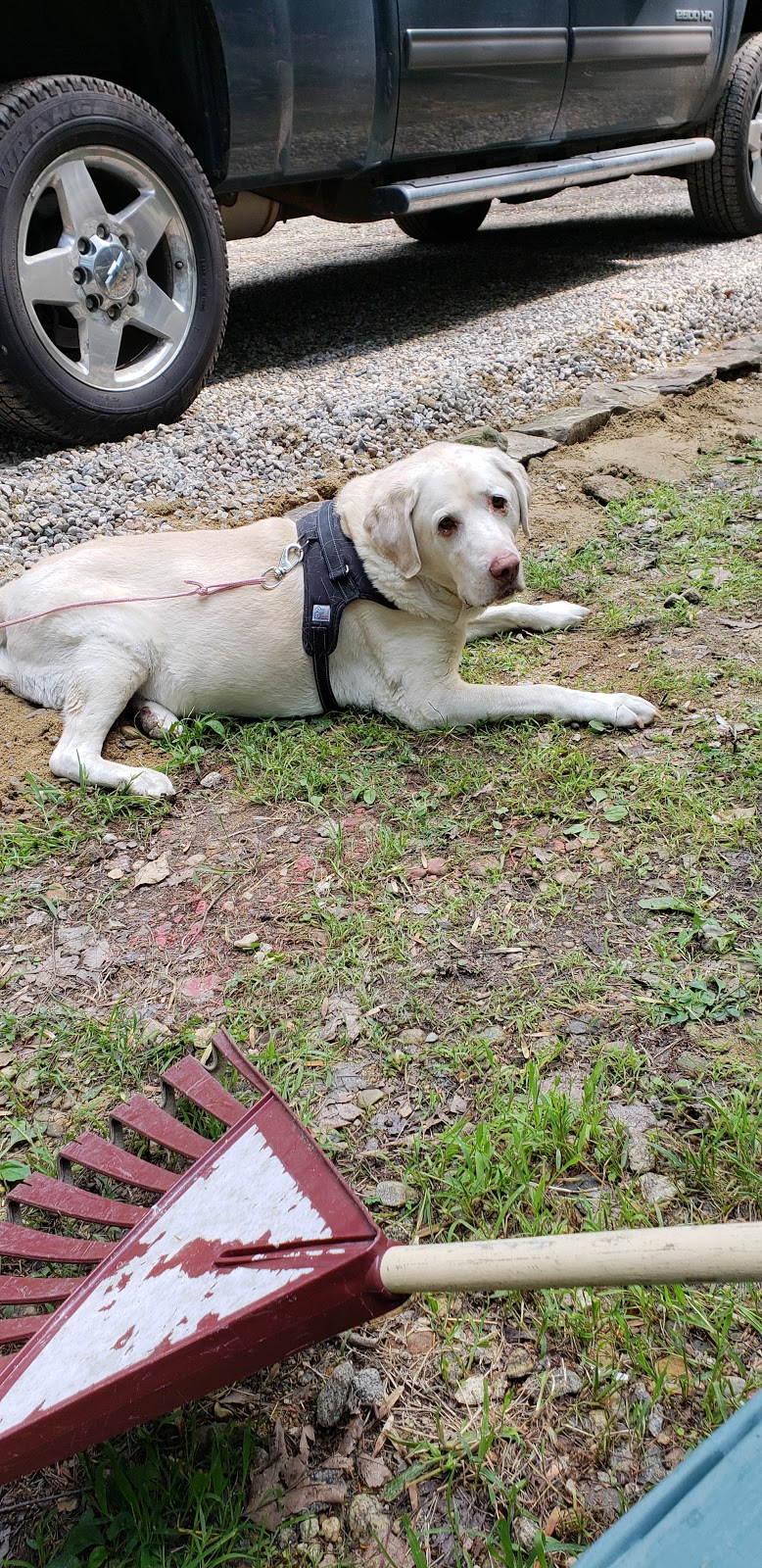 Bears Pine Woods Campground