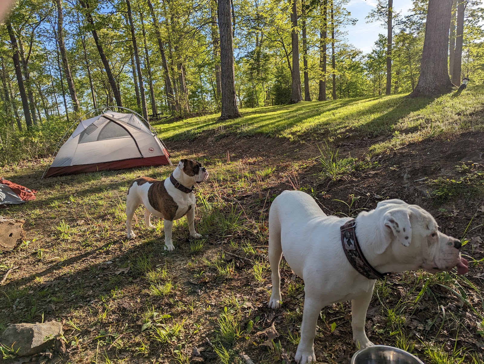 Iron Ridge - Lake Vesuvius Camping