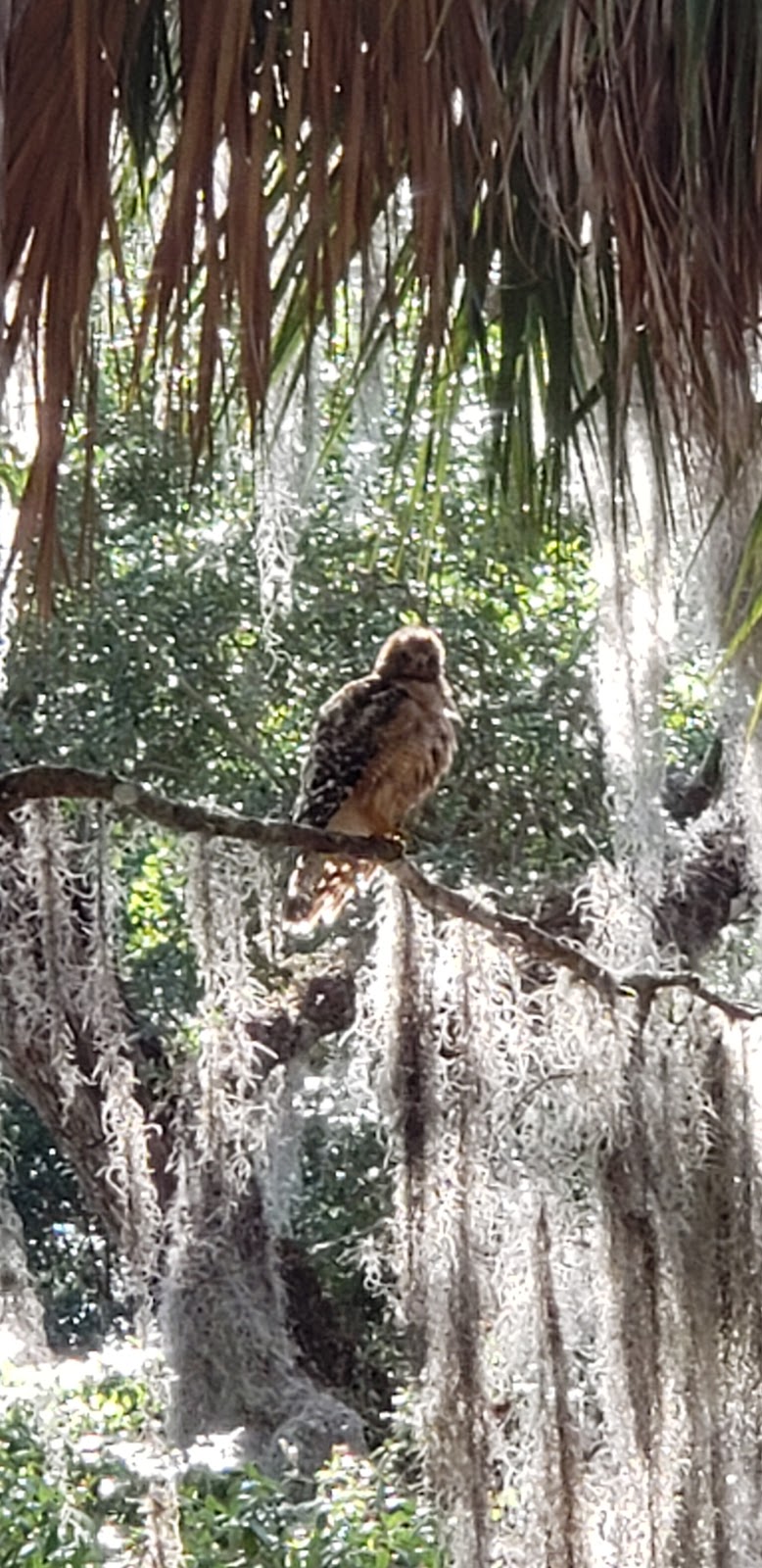 Cedars Lake MH and RV Park