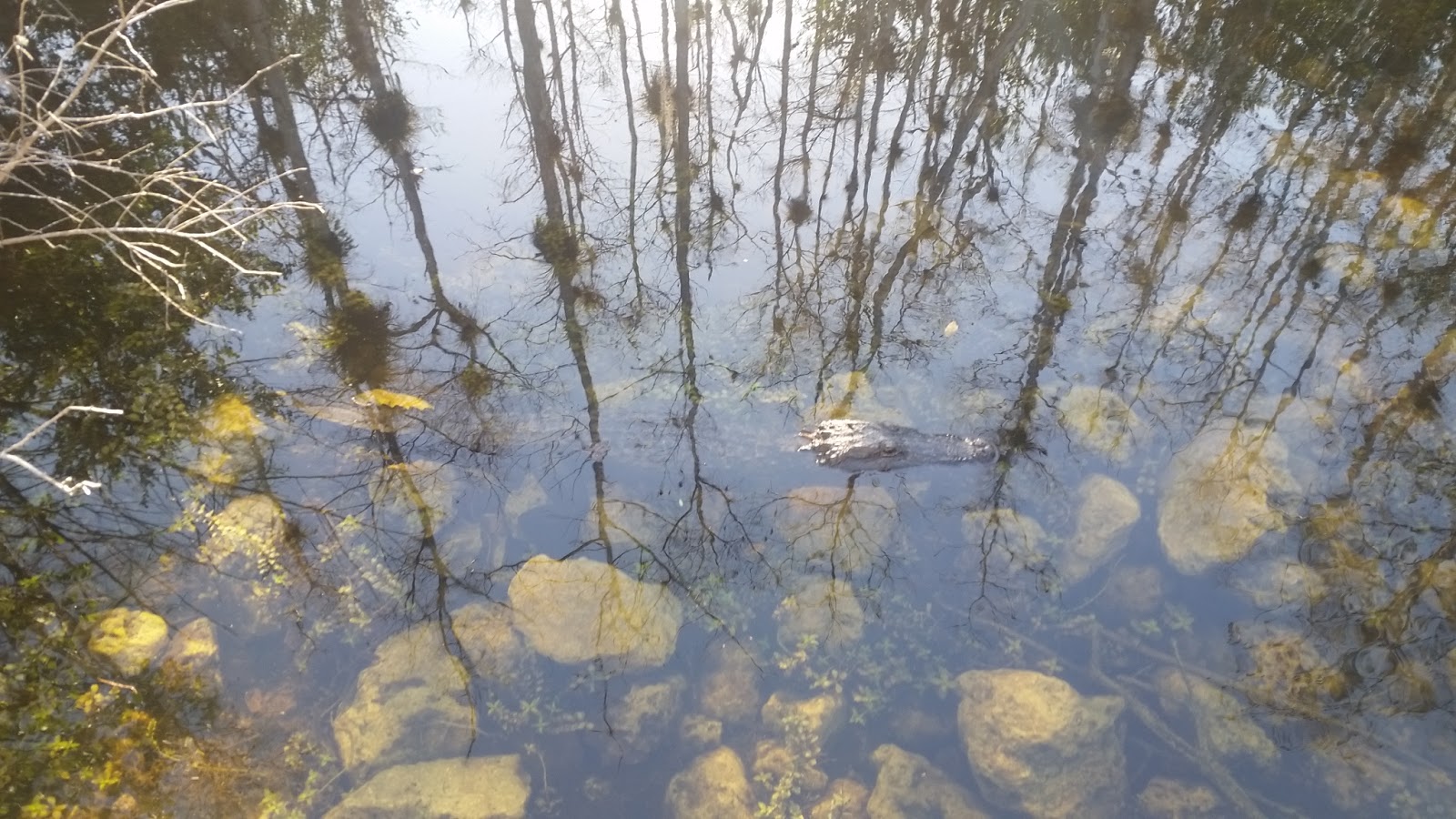 Mitchells Landing - Big Cypress National