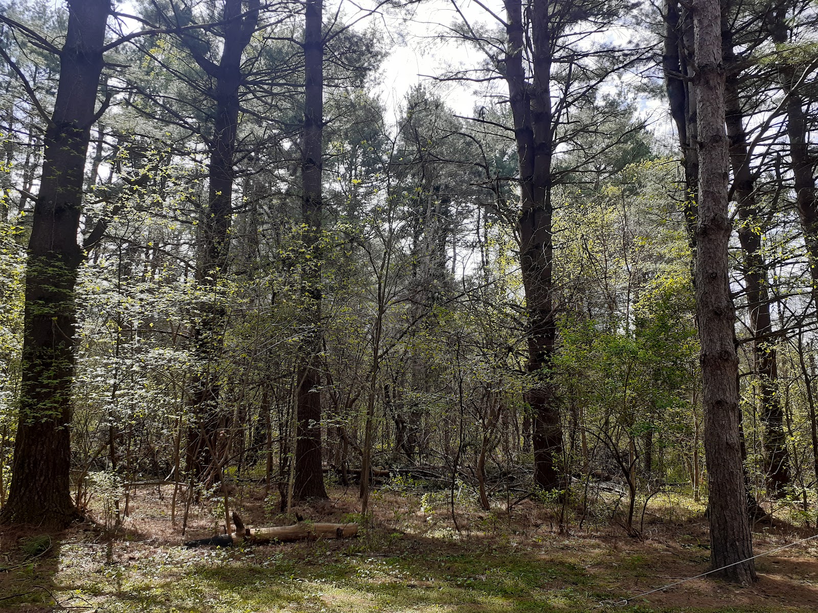 Sugar River Forest Preserve