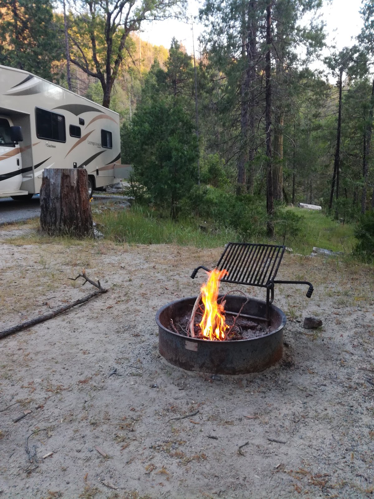 Forks Campground (Sierra)
