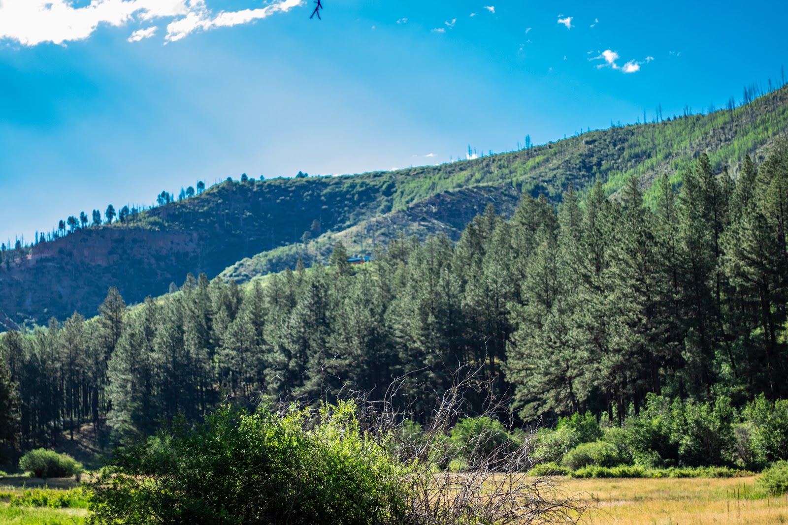 Fenton Lake State Park
