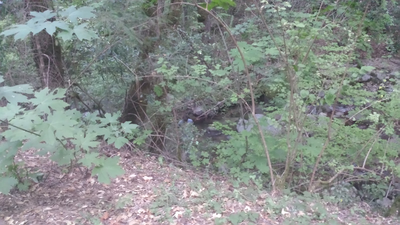 Crystal Creek Primitive Campground