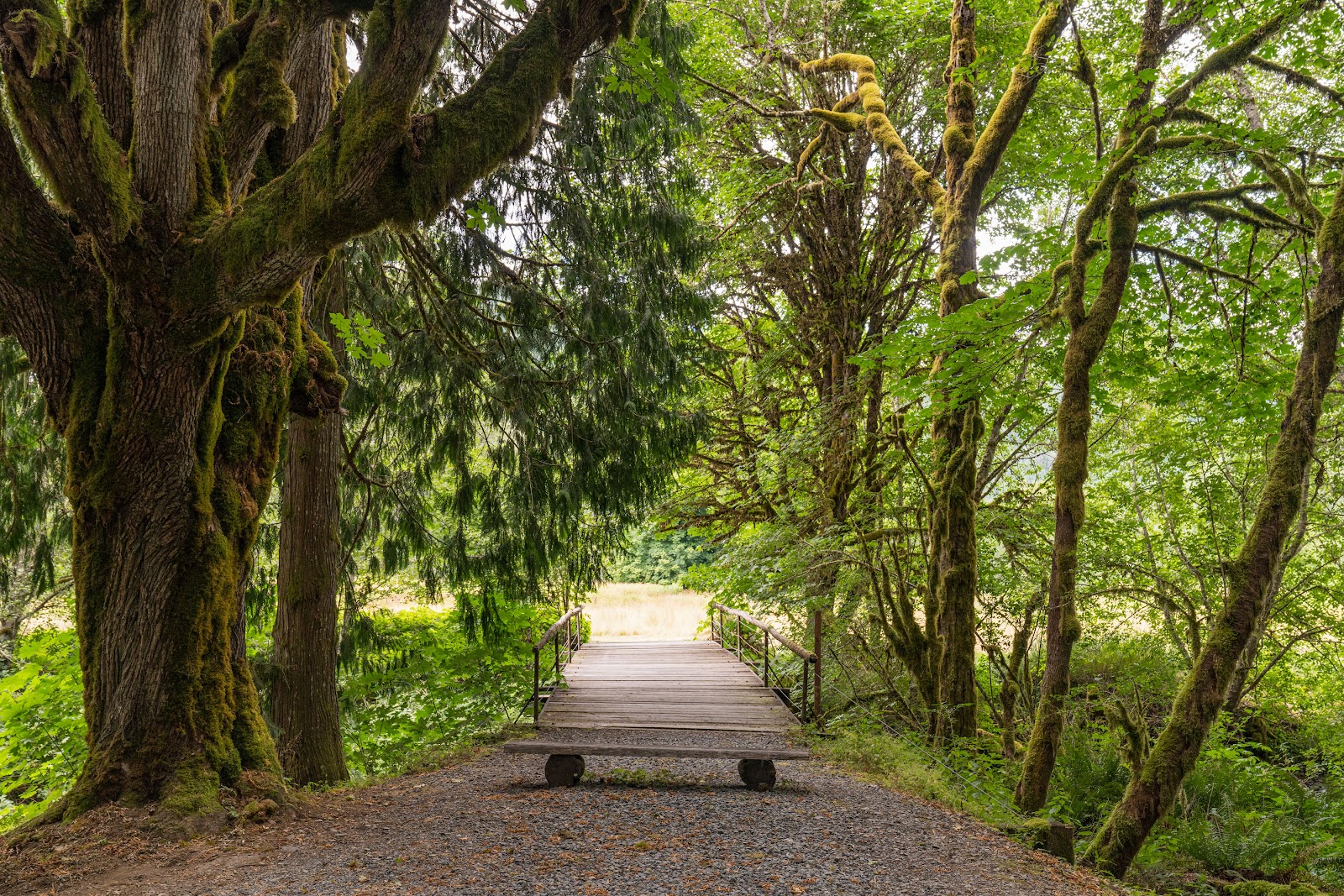 Eastcreek Campground