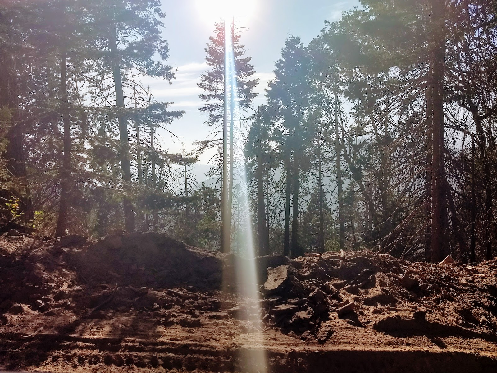 Frog Meadows Campground