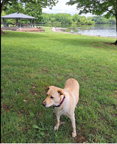 Shellmound RV Resort & Campground