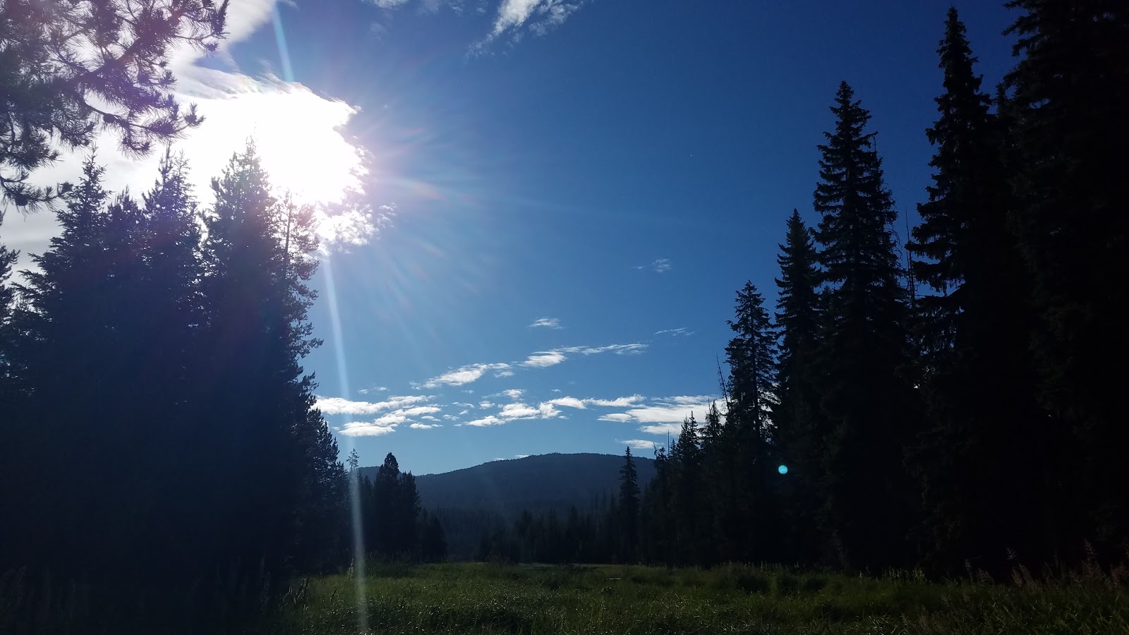 Little Lava Lake Campground