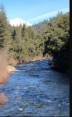 Best in the West Resort