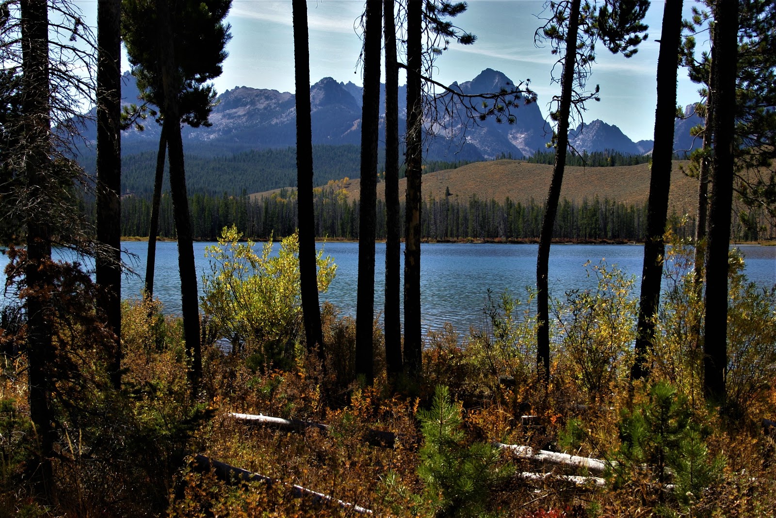Mountain View Campground