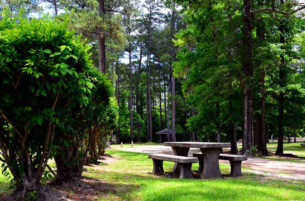 Bladon Springs State Park