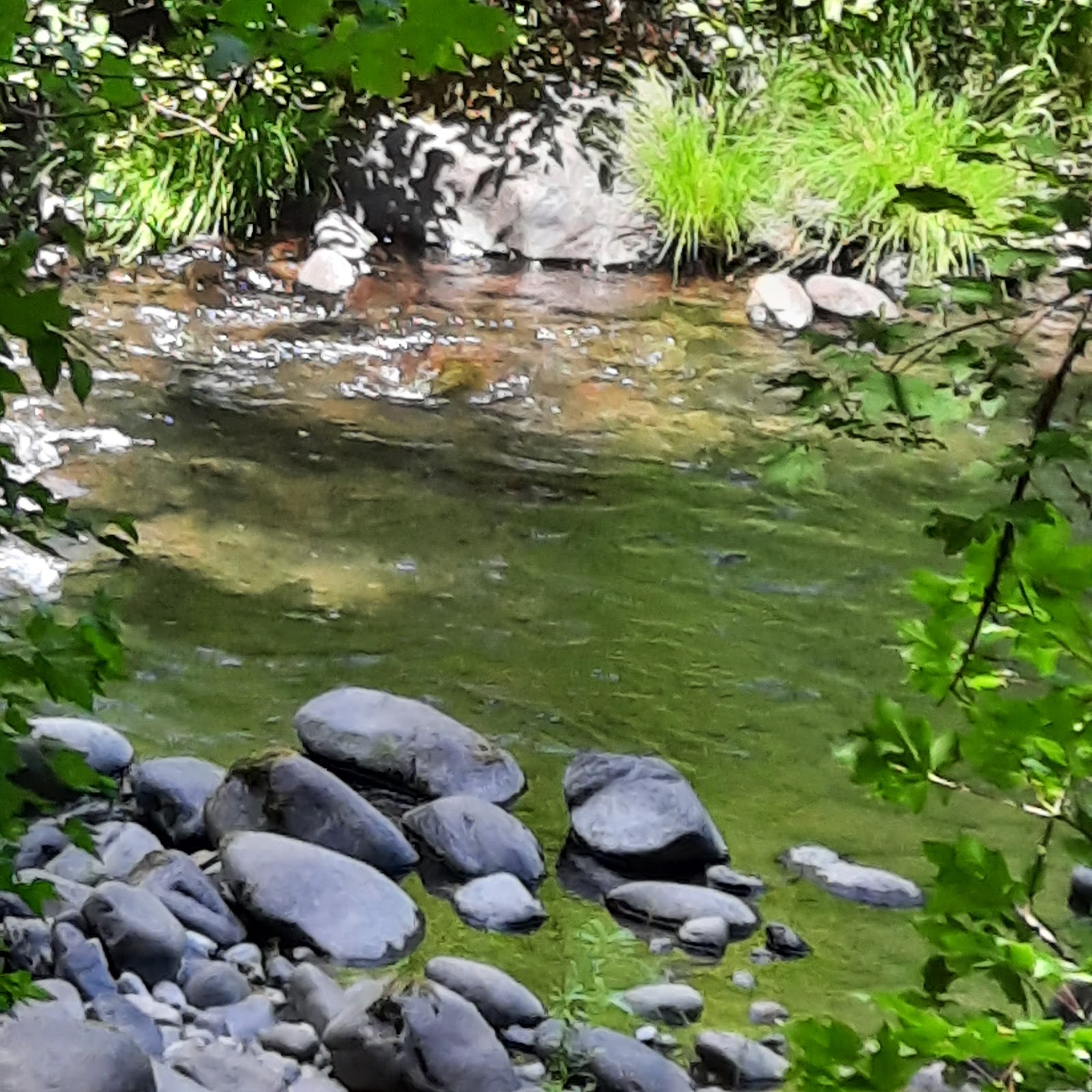 White Creek Campground