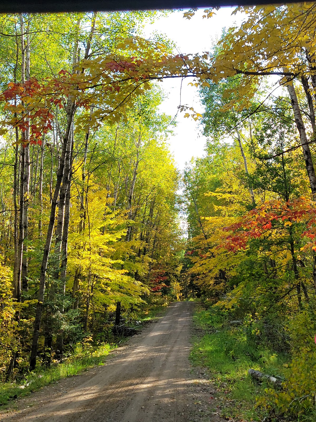 Bad Medicine Resort & Campground