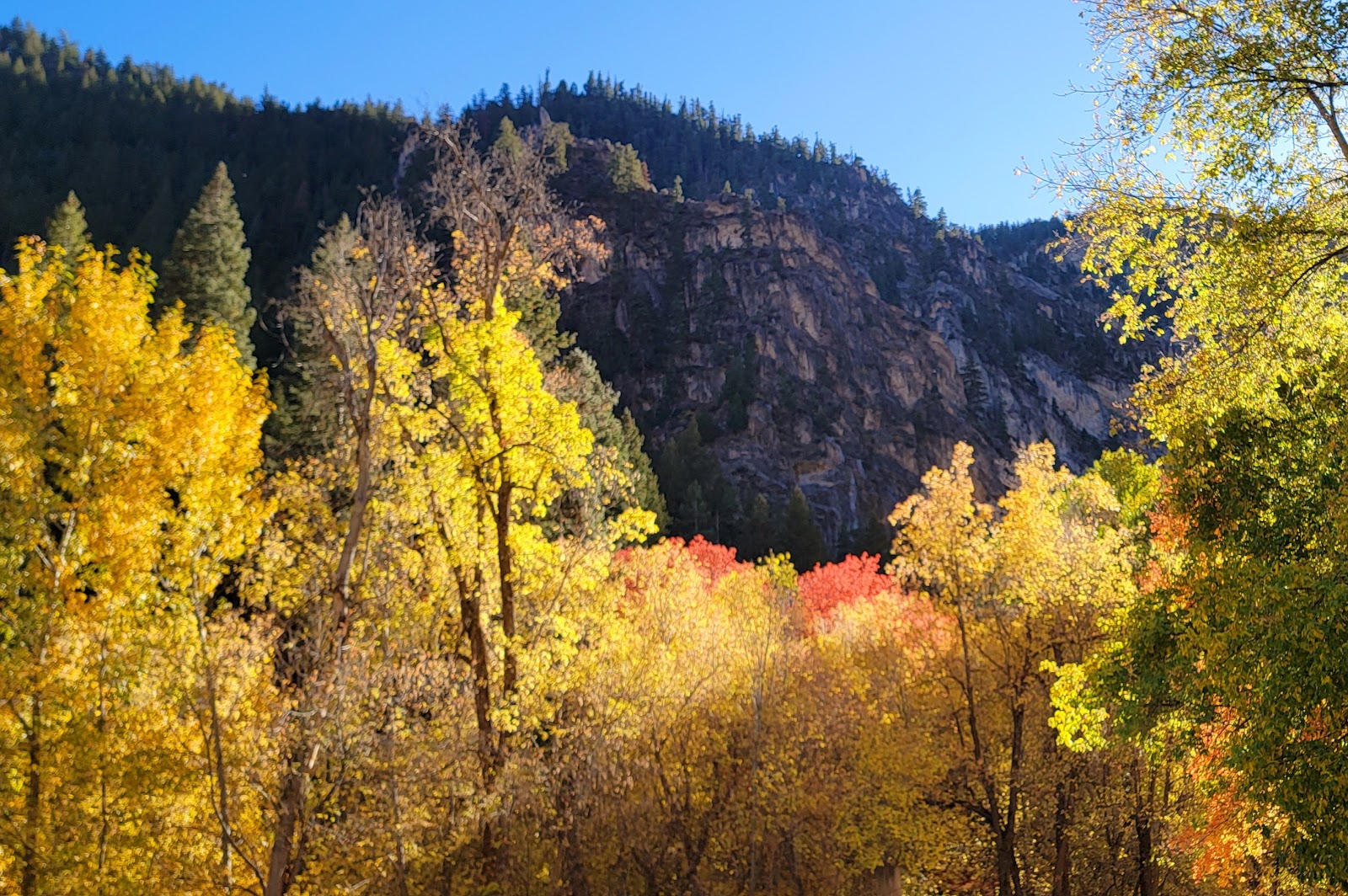 Little Valley Campground