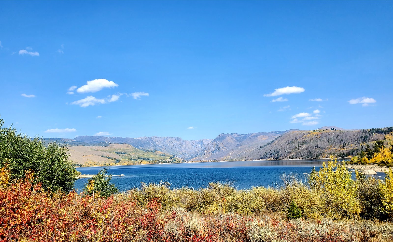 New Fork Lake Campground