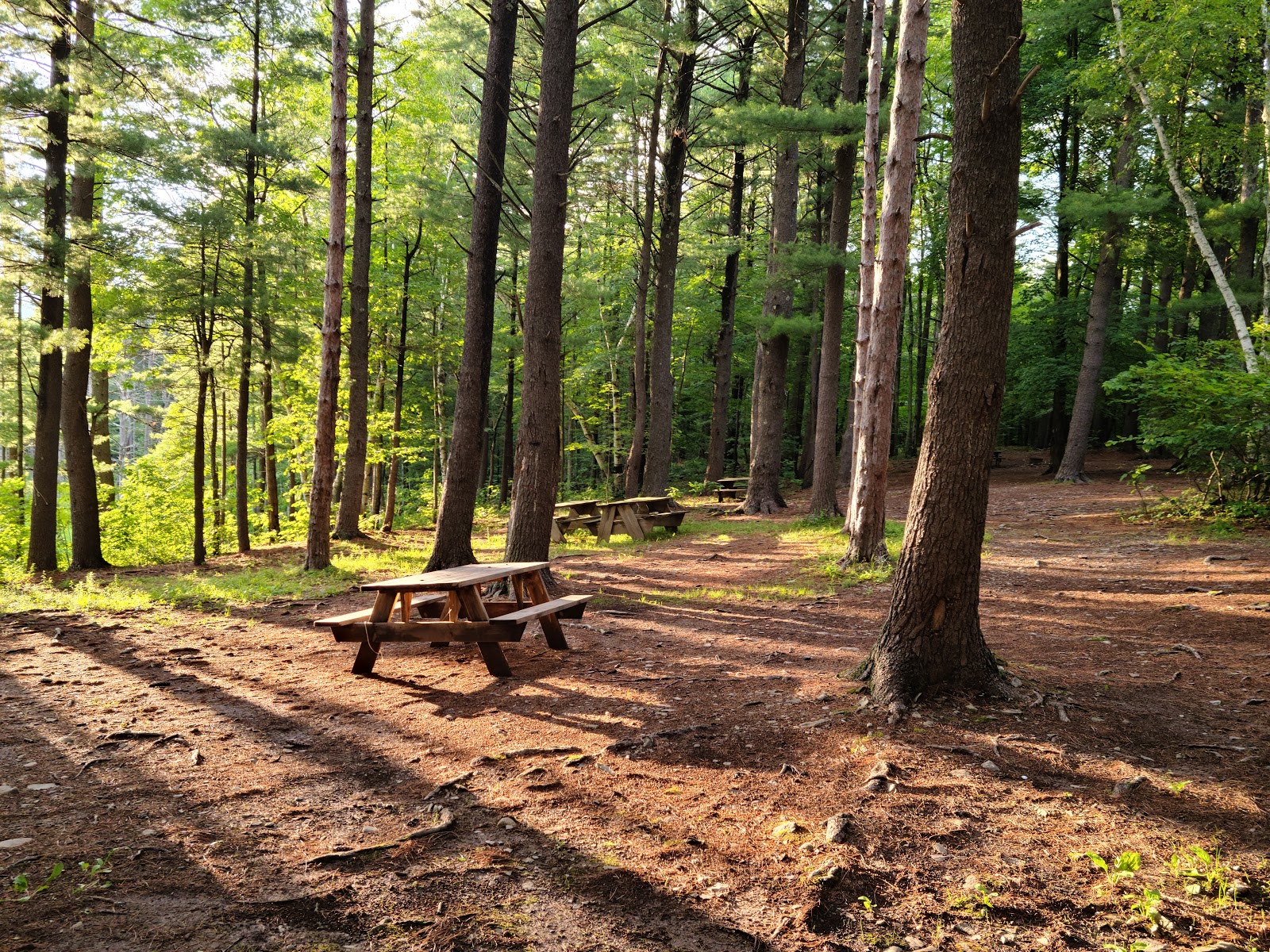 Whip-O-Will Campground