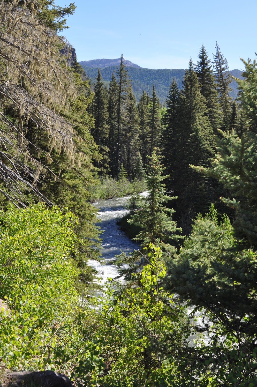 East Fork Campground