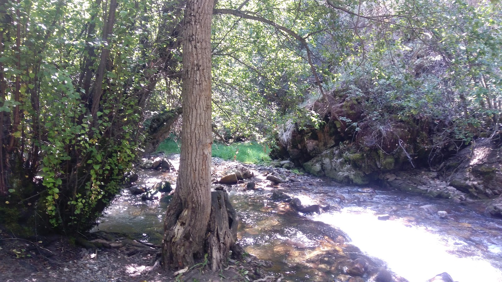 High Creek Campground