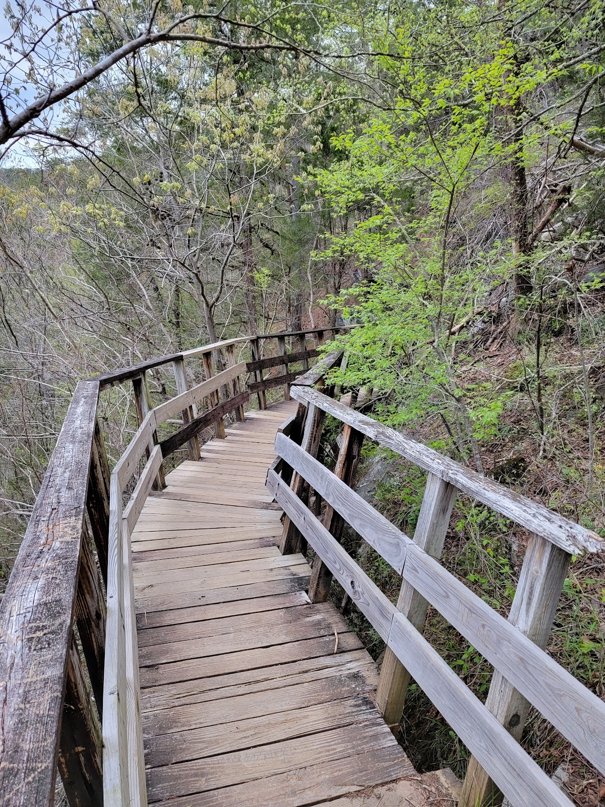 Turnipseed Campground