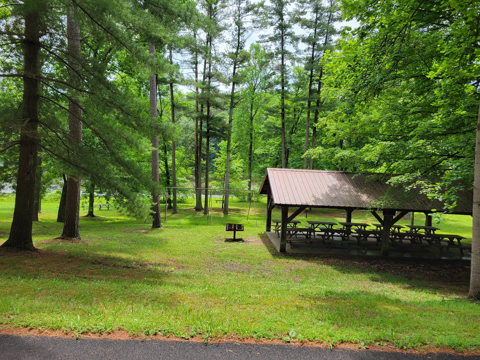 Ferdinand State Forest