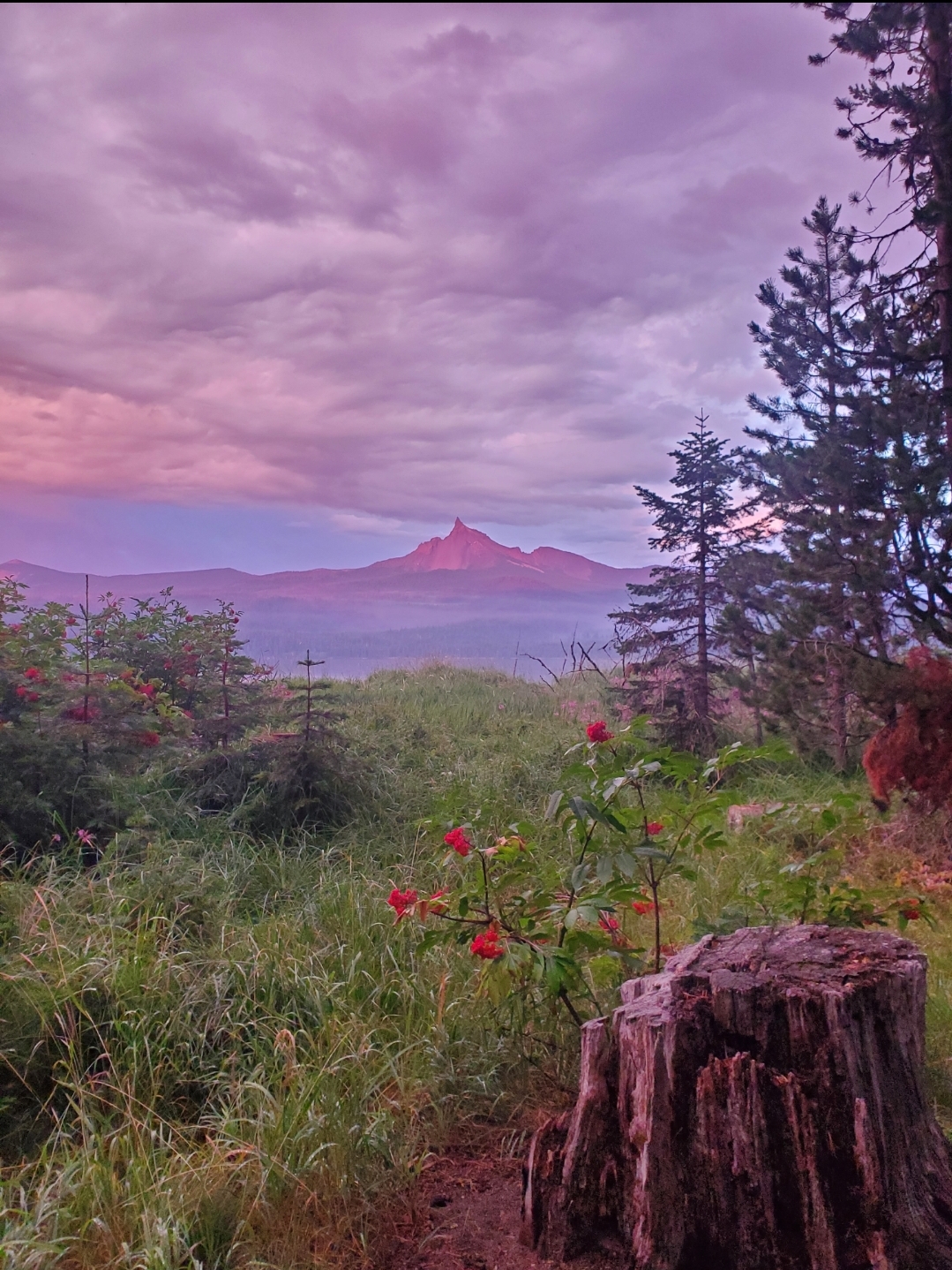 Thielsen View Campground