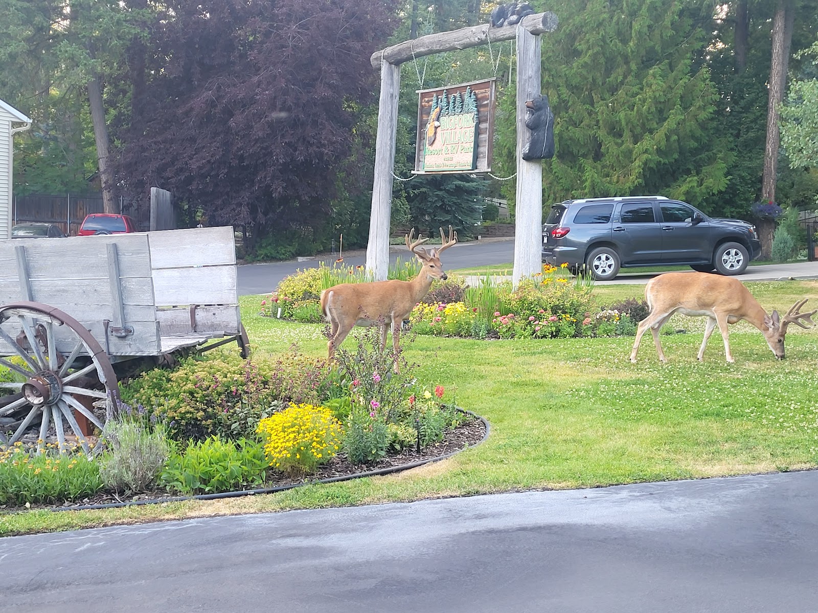 Bigfork Motor Coach Resort