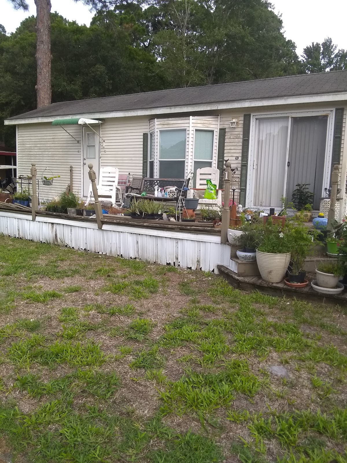 Aripeka West RV Park