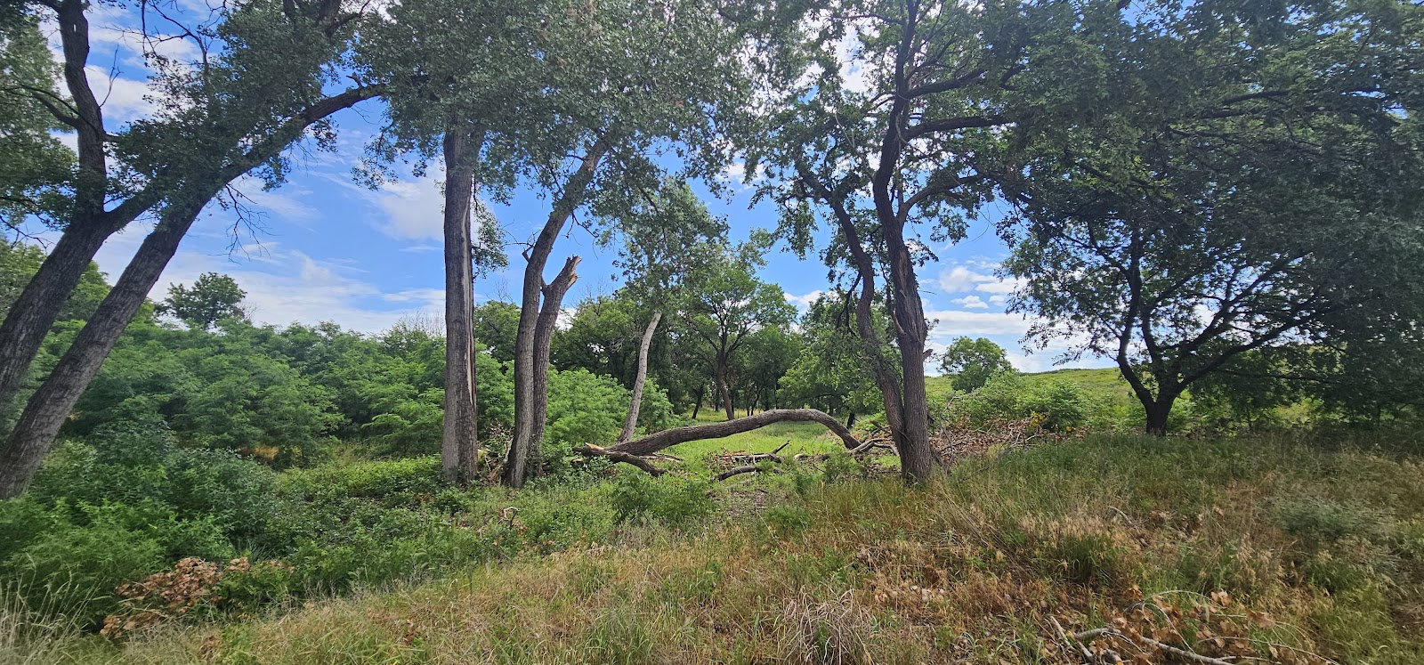 Spring Creek Campground