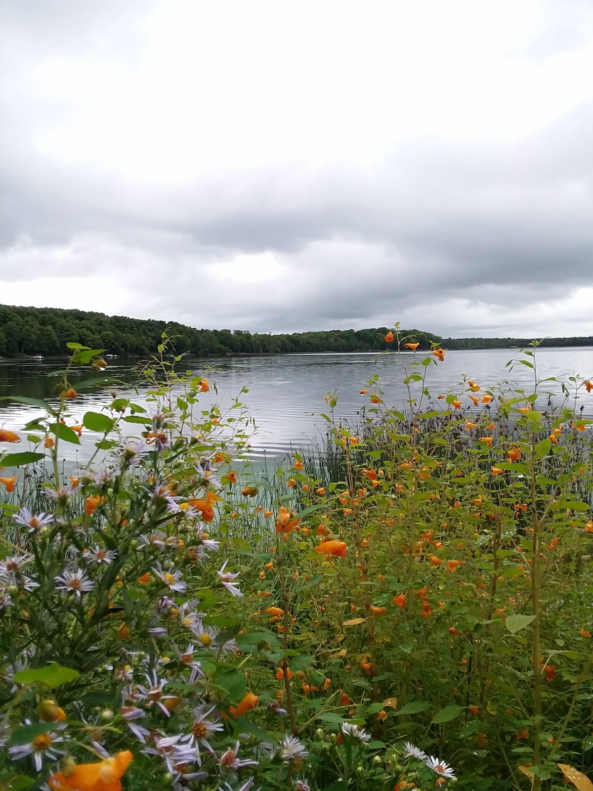 Stevens Lake Campground