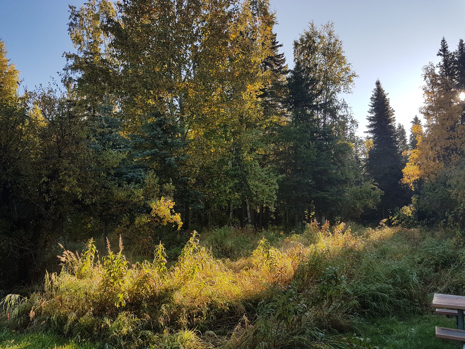 Izaak Walton State Recreation Site