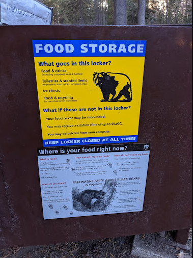 Bridalveil Creek Campground