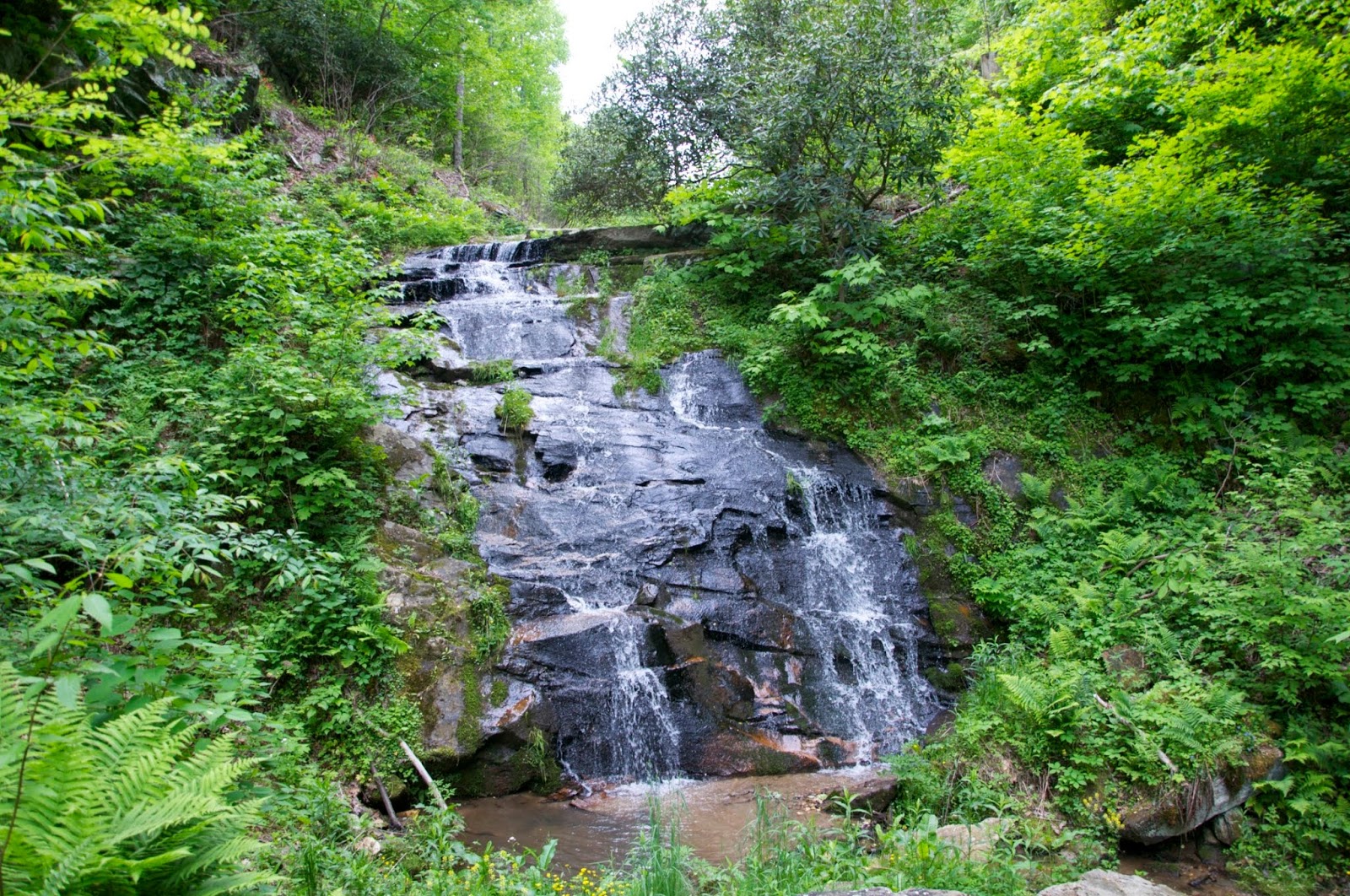 Virginia Highland Haven Airstream Park