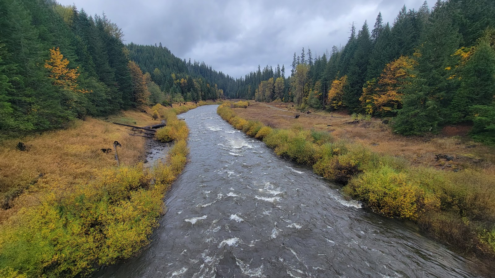 Cougar Crossing Campground