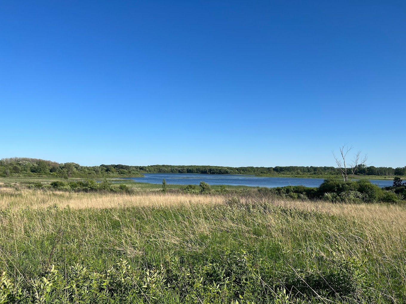 Richard Bong State Recreation Area