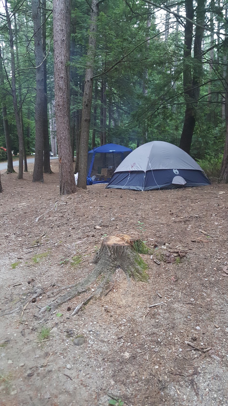 Otter River State Forest