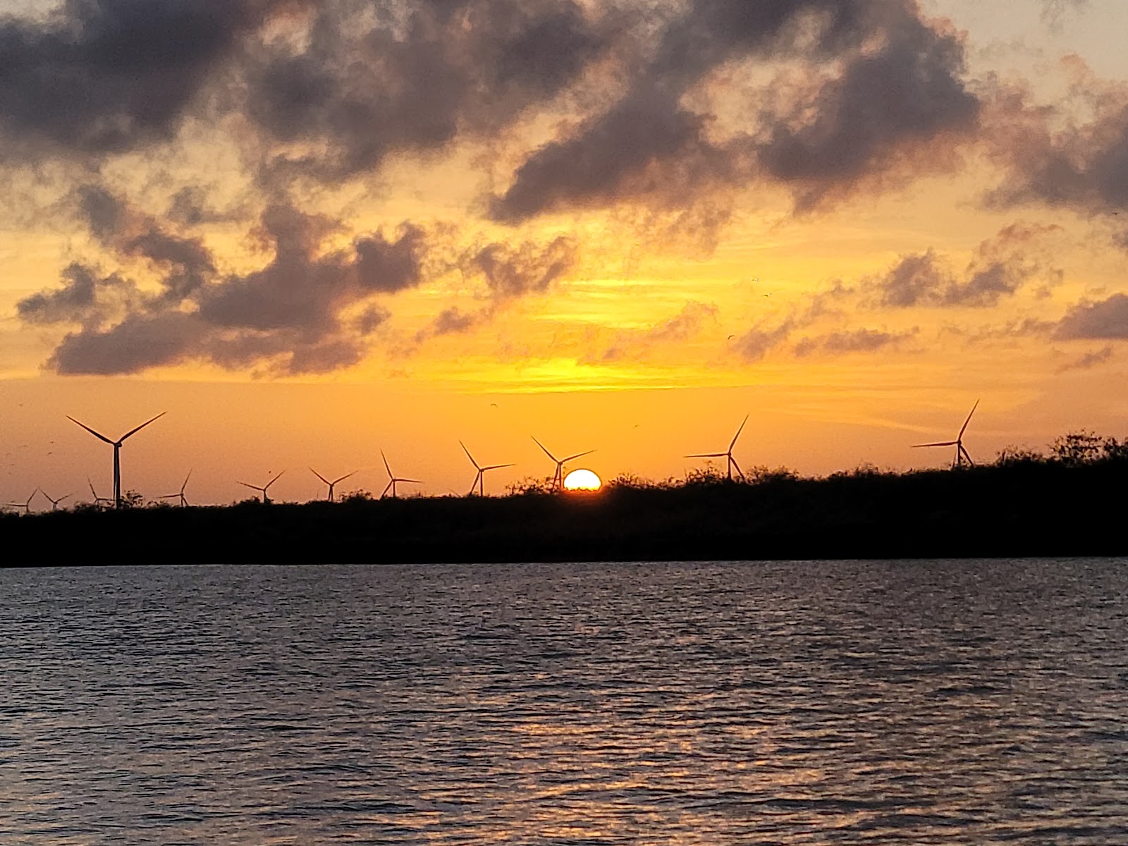 Adolph Thomae Jr County Park