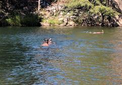 Belden Town Resort & Lodge