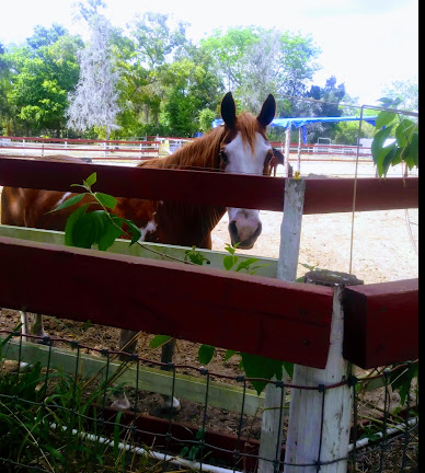 Lakewood Travel Park