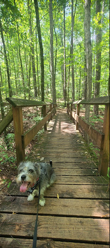 High Falls Campground