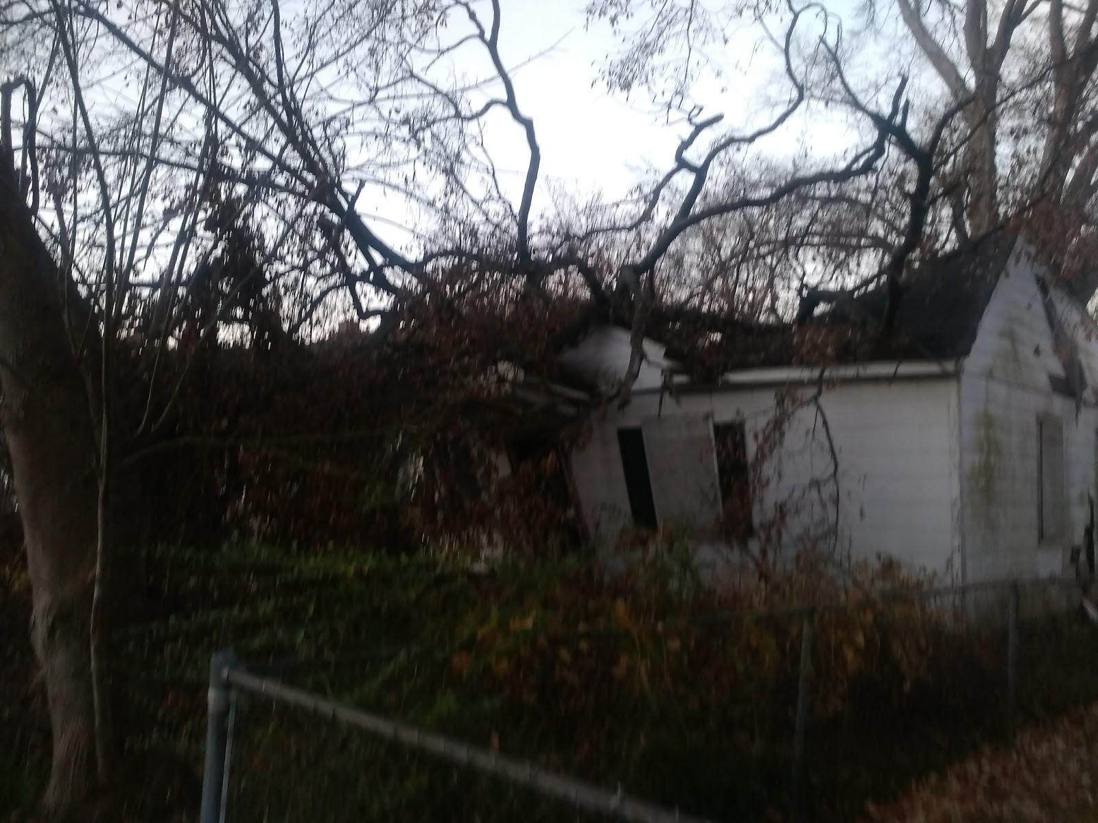 Summer Manor Community