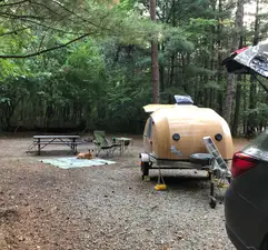 Pine Camp - Sand Ridge State Forest